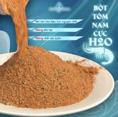 bot-tom-nam-cuc