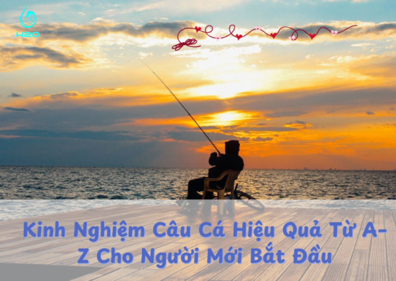Kinh Nghiệm Câu Cá Hiệu Quả Từ A–Z Cho Người Mới Bắt Đầu