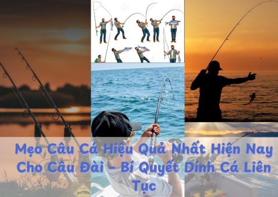 Mẹo Câu Cá Hiệu Quả Nhất Hiện Nay Cho Câu Đài – Bí Quyết Dính Cá Liên Tục